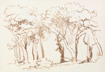 Studie von Bäumen